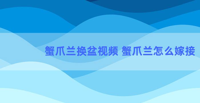 蟹爪兰换盆视频 蟹爪兰怎么嫁接